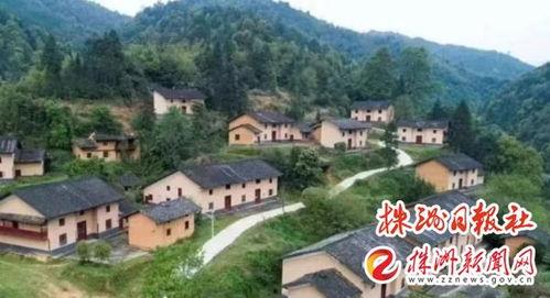 茶陵爆料最新消息,最新动态揭秘，热点事件追踪！  第3张