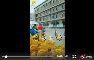 内蒙学校爆料视频曝光,揭秘校园内幕  第1张